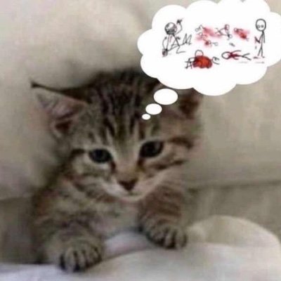 runspeedup's profile picture. 