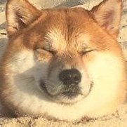 ☘︎あめなが☘︎さんのプロフィール画像