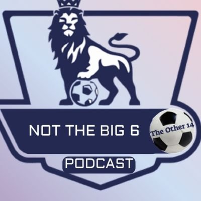 Fed up of only hearing about the 'Big 6' or 'Sky 6'?

This page is only for discussion of the important teams of the EPL.
