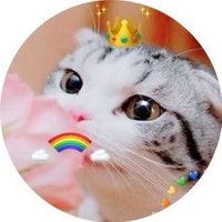 🍀Saii.🐧¸¸ (@deepinyellow) 's Twitter Profile