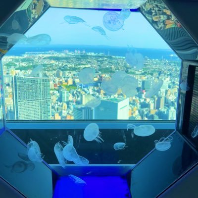 SixTONES推してます。京本大我担です!AMEFURASSHIも推しで愛来よりの箱推しです! 浦和レッズサポです!