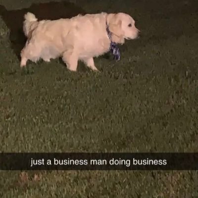 roguejonesy17's profile picture. dude you won’t believe what just happened