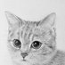 灰ねこ (@mukimukimukumuk) Twitter profile photo 灰ねこ (@mukimukimukumuk) Twitter profile photo