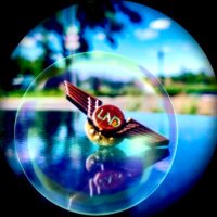 Akkoro💐 (@kolokololololo) 's Twitter Profile Photo