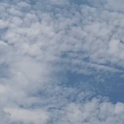 mofmof20200723's profile picture. 在外教育施設派遣教師の配偶者であり、
配偶者同行休業中です。

派遣に関する情報収集をしています。