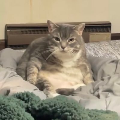 OhLawwdy's profile picture. 