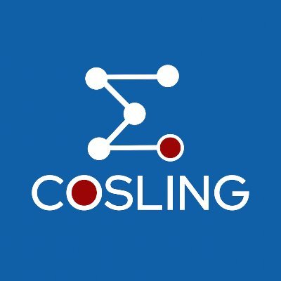 COSLING_SAS's profile picture. 