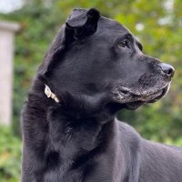 bakero_jb (@bakero_jb) 's Twitter Profile