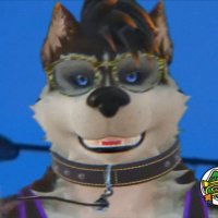 Changa Husky(@Changa_Husky) 's Twitter Profile Photo