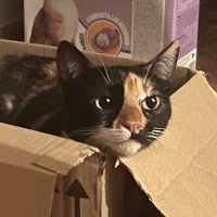 arte + misa (@albamcampillo) 's Twitter Profile Photo