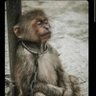 Asohkinasi's profile picture. 