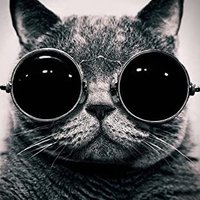 Tim Norton (@timnorton86052) 's Twitter Profile