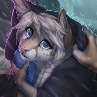 23,ā¤ļø| Furry Artist š¦ and NSFW š | Commissions Open | Graphics And Animations Expert ā¤ļø| 2D/3D modeller