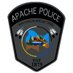 San Carlos Apache Police Department (@SCAPDArizona) Twitter profile photo