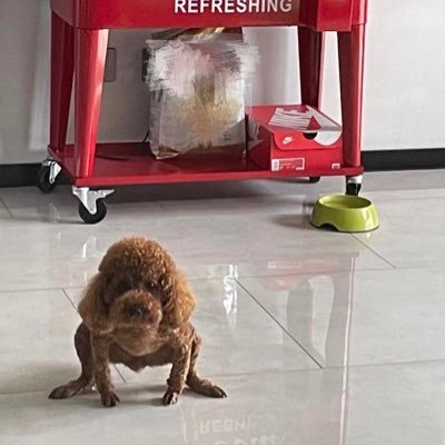 French_FRlES's profile picture. 🔞 18+ DL