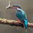 Seizingmoment's profile image