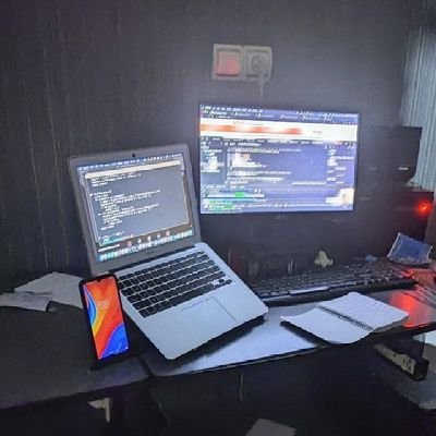 Seyedhosein202's profile picture. interested in cyber security☕
Married💍h