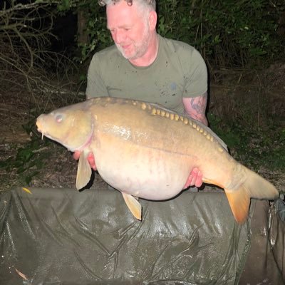 F1, Mclaren papaya, Football, carp fishing, Adidas trainers, Fernando Alonso. Sheffield Wednesday massive.