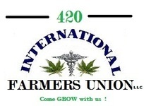 420 Farmers supplies Industrial Hemp and Medical Marijuana to Collectives,manufacturers of Foods, Beverages , Paper Products , Textiles and other products.