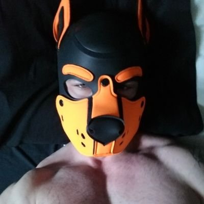 Pup Kai / Blitzkrieg Ott