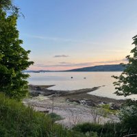eileen salmon (@eilsalmon) 's Twitter Profile