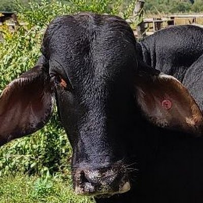 GeraldMuno41320's profile picture. 