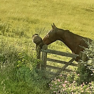 PeterseAnne's profile picture. 