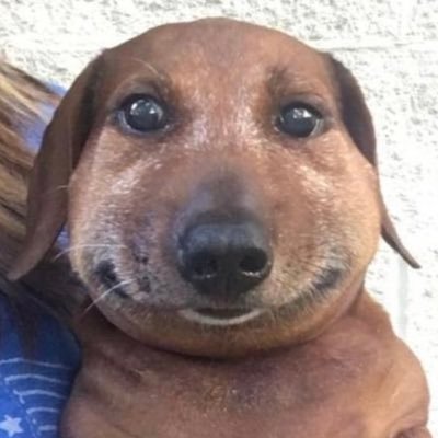dickgobblr420's profile picture. dumb bitch