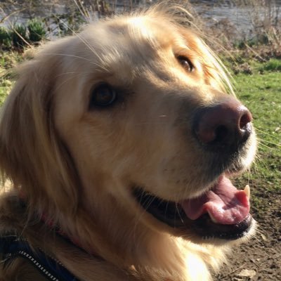 AlastairMc8641's profile picture. Likes and reposts do not imply endorsement.