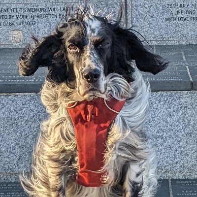 alexpauldouglas's profile picture. Teacher. AVP. MA (Education). MA (PPE). Visiting Fellow (Ambition Institute). TF Ambassador.