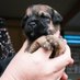 Douglas (@douglasthebt) Twitter profile photo Douglas (@douglasthebt) Twitter profile photo