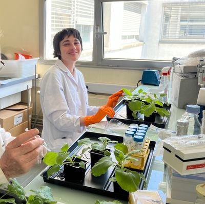 AricoDenise's profile picture. Post-doctoral researcher LRSV, Toulouse & RDP, ENS-Lyon, France.
PhD in Biology, INGEBI-CONICET, Buenos Aires, Argentina. University of Buenos Aires.