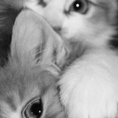 brightmooon_'s profile picture. manusia biasa || Beauty Enthusiast