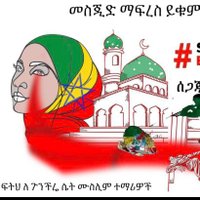 ዳ ሚ ሻ🌍(@gmhjj83954) 's Twitter Profile Photo