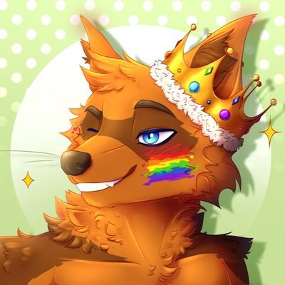 Poco Raccoonさんのプロフィール画像