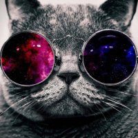 Martin Blue 🐉 $MON (@martiniquos) 's Twitter Profile