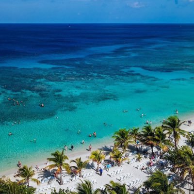 jean_calli's profile picture. 