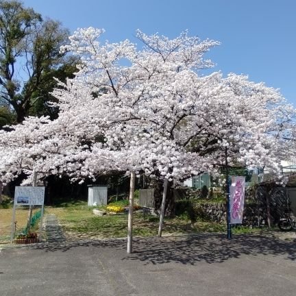 蚊の鳴くような声でも、１億匹集まれば相当うるさいし無視出来ないと思う✋
自民党！公明党！維新！　消えて無くなれ👊！
ｼﾙﾊﾞｰｼﾞｪﾈﾚｰｼｮﾝです😅✋