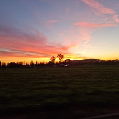 Diabolik020461's profile picture. 