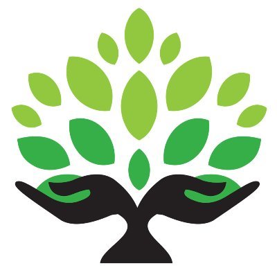 TFMS_Books's profile picture. From celebrating a loved one's life to documenting a love story for your wedding day, we create visually compelling books that document your stories & memories.