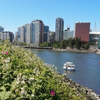 Vancouver Now (@nowyvr) 's Twitter Profile