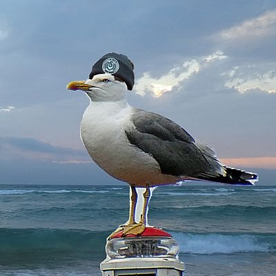 Ja, seid einfach nett zueinander bitte - Mieke Kröger