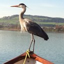 patrick rust - @rust197645 - Twitter