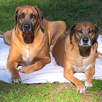 Sodstory1904's profile picture. Born in Greece, legally immigrated at 10, spent 40+ years in NYC. Fled two terrible economies and Texas is my last stand. Real women and men use real name on X