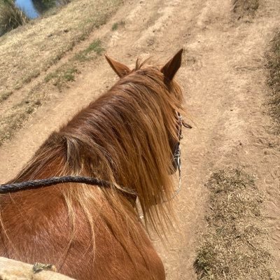 brickbroker96's profile picture. 
