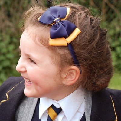 School Hair Accessories. Headbands | Girls Hair Ties | Hair Bow Clips. Free delivery on orders over £5. School hair bows that match school uniforms.