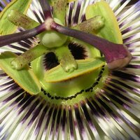 Derk Boot (@derkboot) 's Twitter Profile