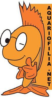 Twitter oficial do http://t.co/SWAfnZ9DHu