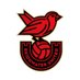 Bridgwater United FC Boys/Mixed Academy (@BUFC_fcacademy) Twitter profile photo
