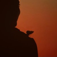 دولثينيا (@___dulcinea) Twitter profile photo